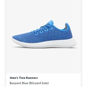 Blue AllBirds. Gently worn.